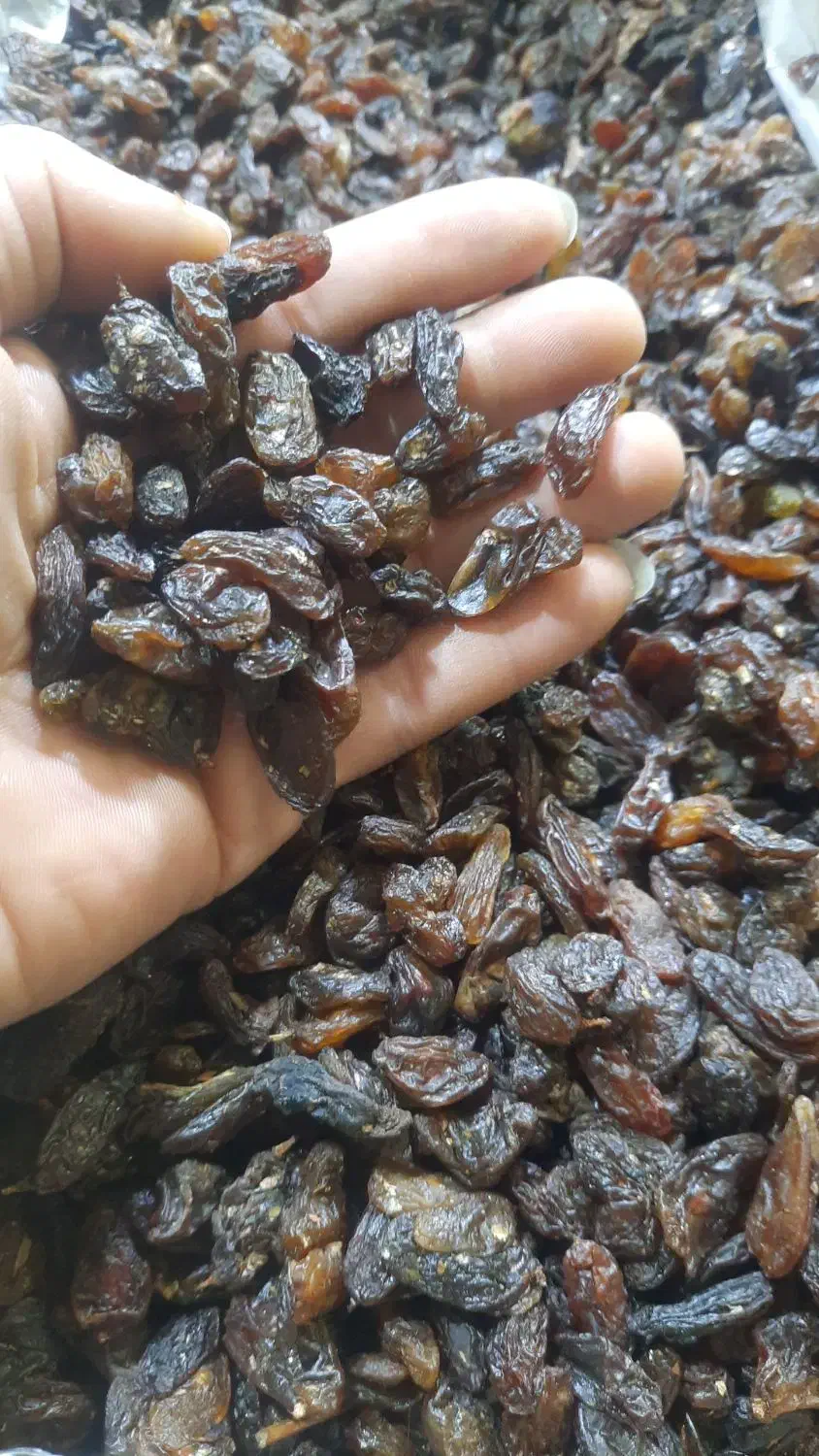 پخش کشمش علی|عمده‌فروشی|کرج, اصفهانی‌ها|دیوار