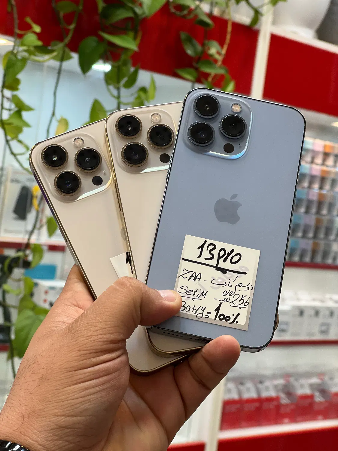 iPhone 13 pro|موبایل|شیراز, زند|دیوار