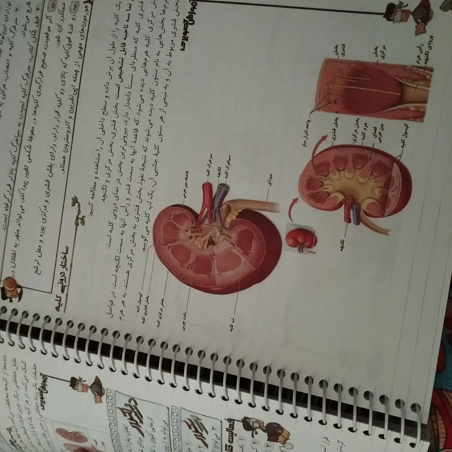 بسته معلم خصوصی پرش دهم|کتاب و مجله آموزشی|محمدشهر, محمدشهر|دیوار