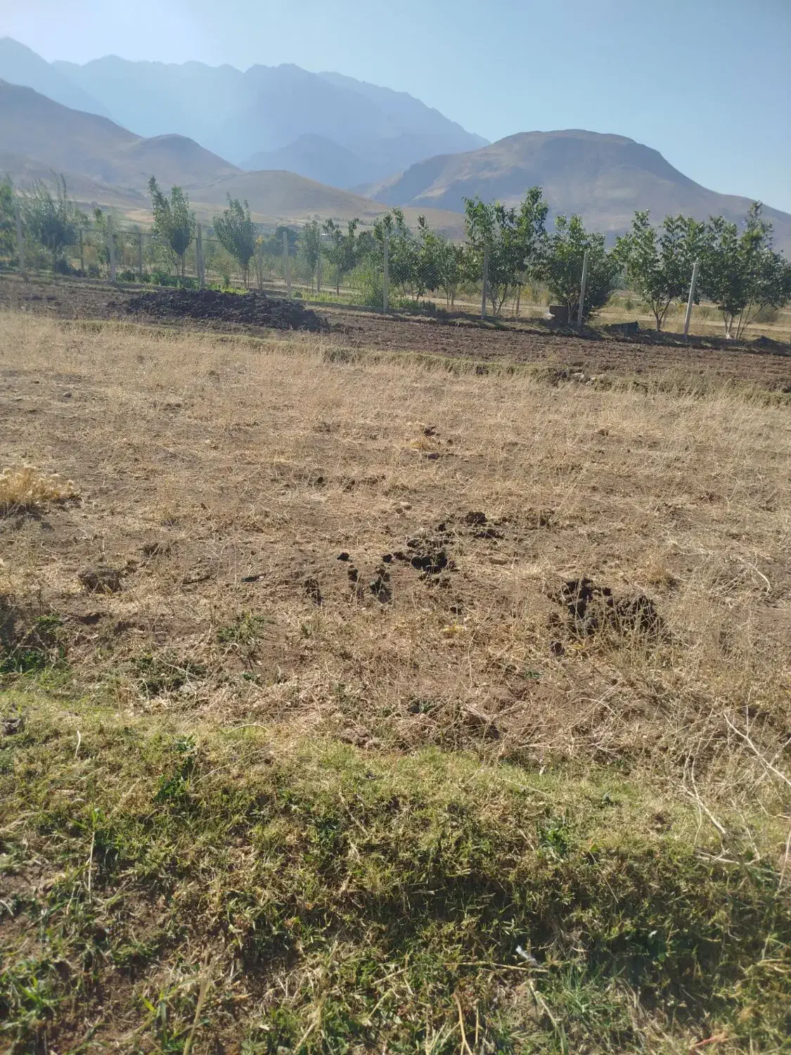 فروش زمین در روستای سیاوش آباد به متراژ ۵۰۰متر|فروش زمین و ملک کلنگی|ازنا, |دیوار