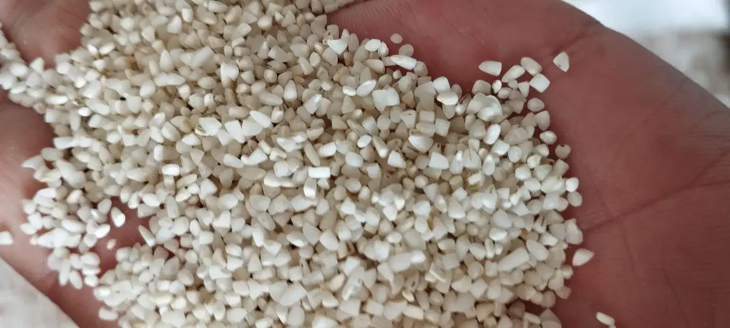 ب رنج سالم و *نیم دانه|خوردنی و آشامیدنی|دورود, |دیوار