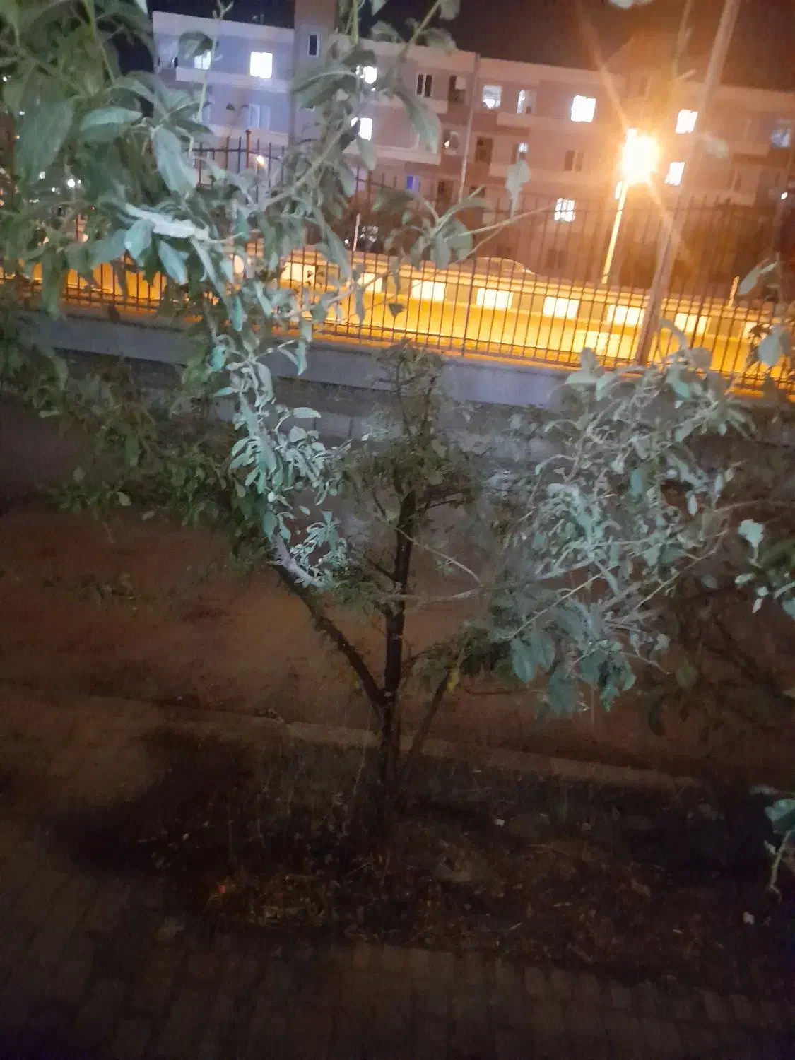 زمین مسکونی|فروش زمین و ملک کلنگی|چناران, |دیوار