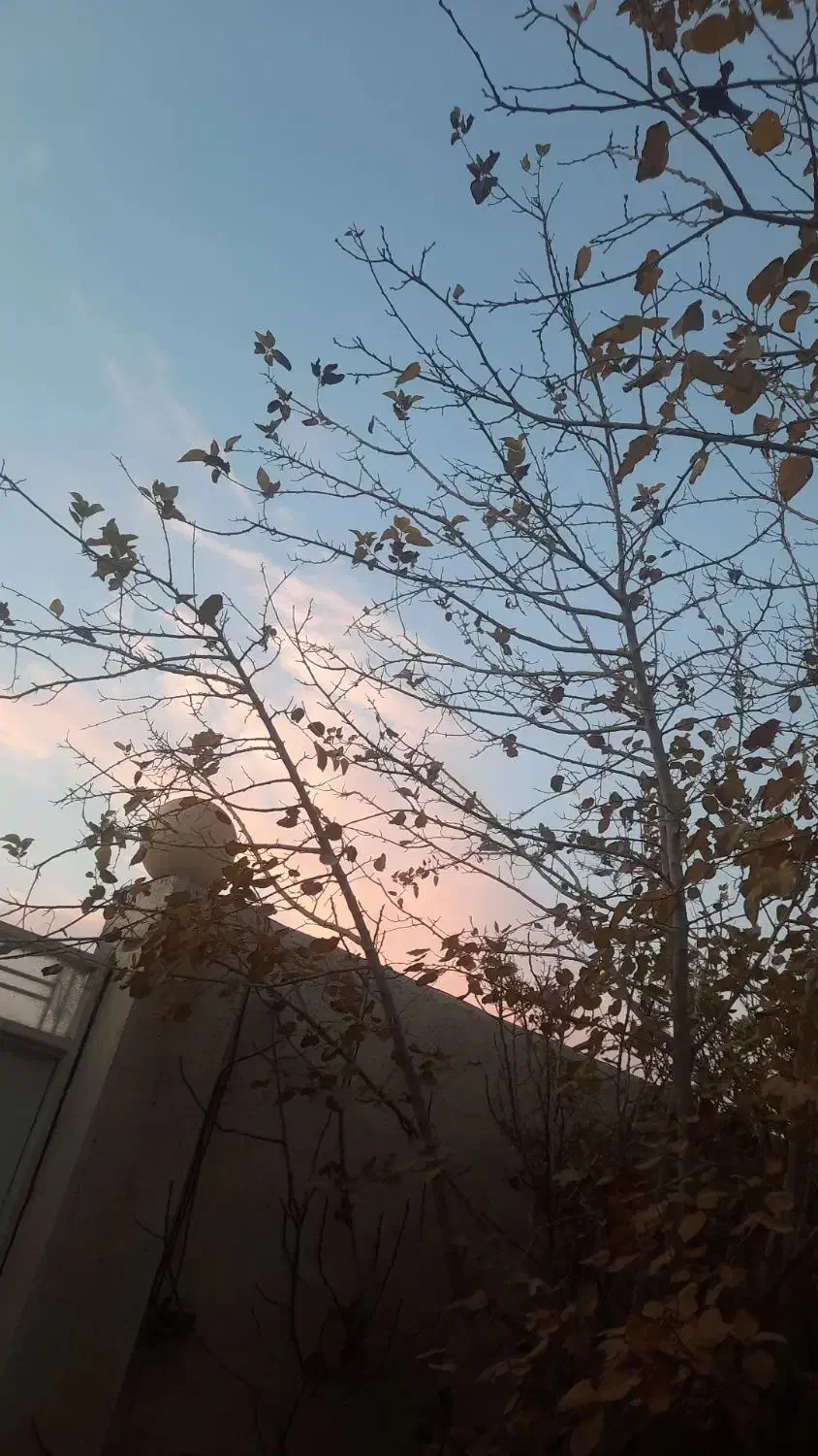 نیروی ساده خانم و اقا ( ماهر )|استخدام صنعتی، فنی، مهندسی|قم, زند آباد|دیوار