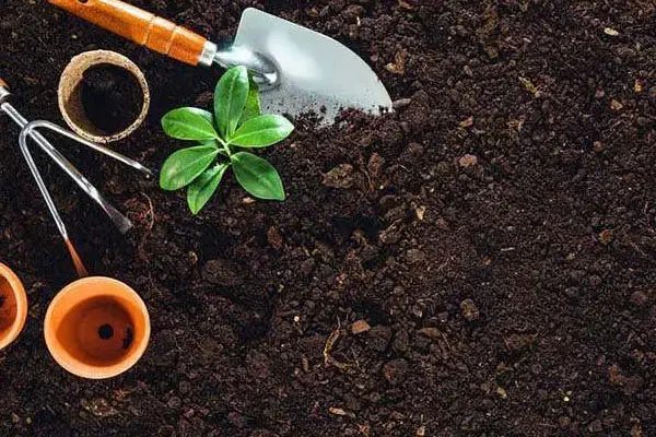 خاک باغچه و کود حیوانی|خدمات باغبانی و درختکاری|مشهد, توس (بلوار توس)|دیوار