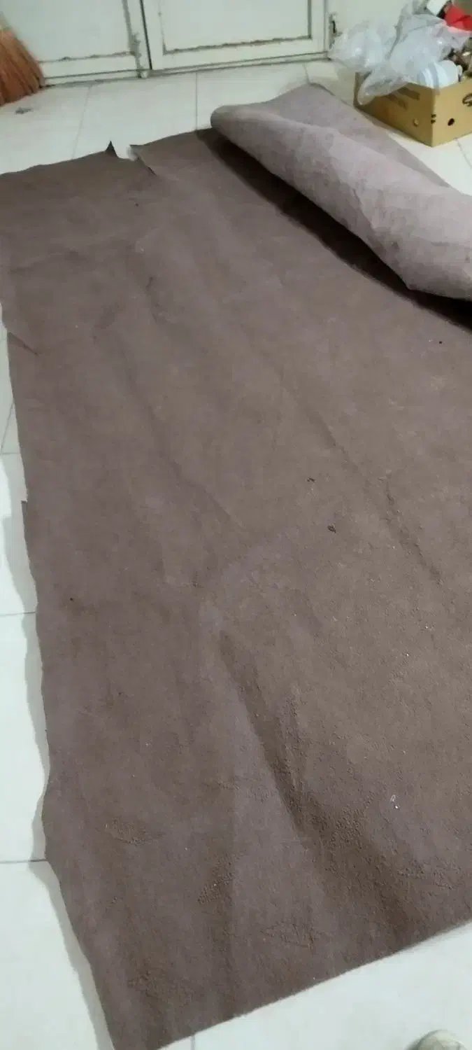 موکت قهوه ای|موکت|شاندیز, |دیوار