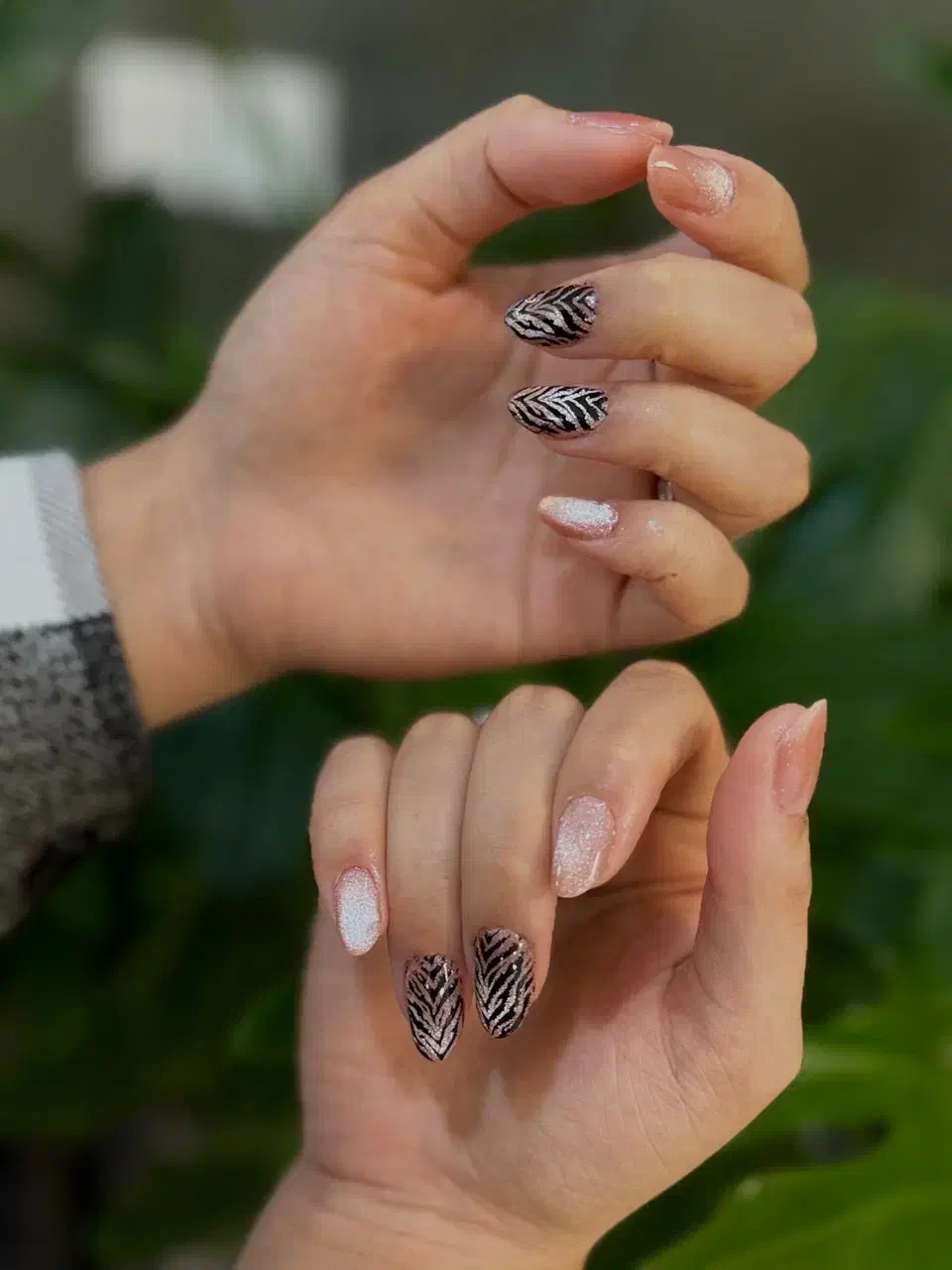 مدل کاشت ناخن بصورت رایگان|خدمات آرایشگری و زیبایی|لاهیجان, شیشه گران|دیوار