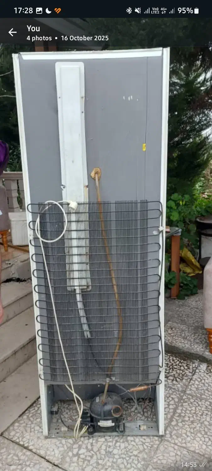 یخچال فریزر|یخچال و فریزر|سرخرود, |دیوار