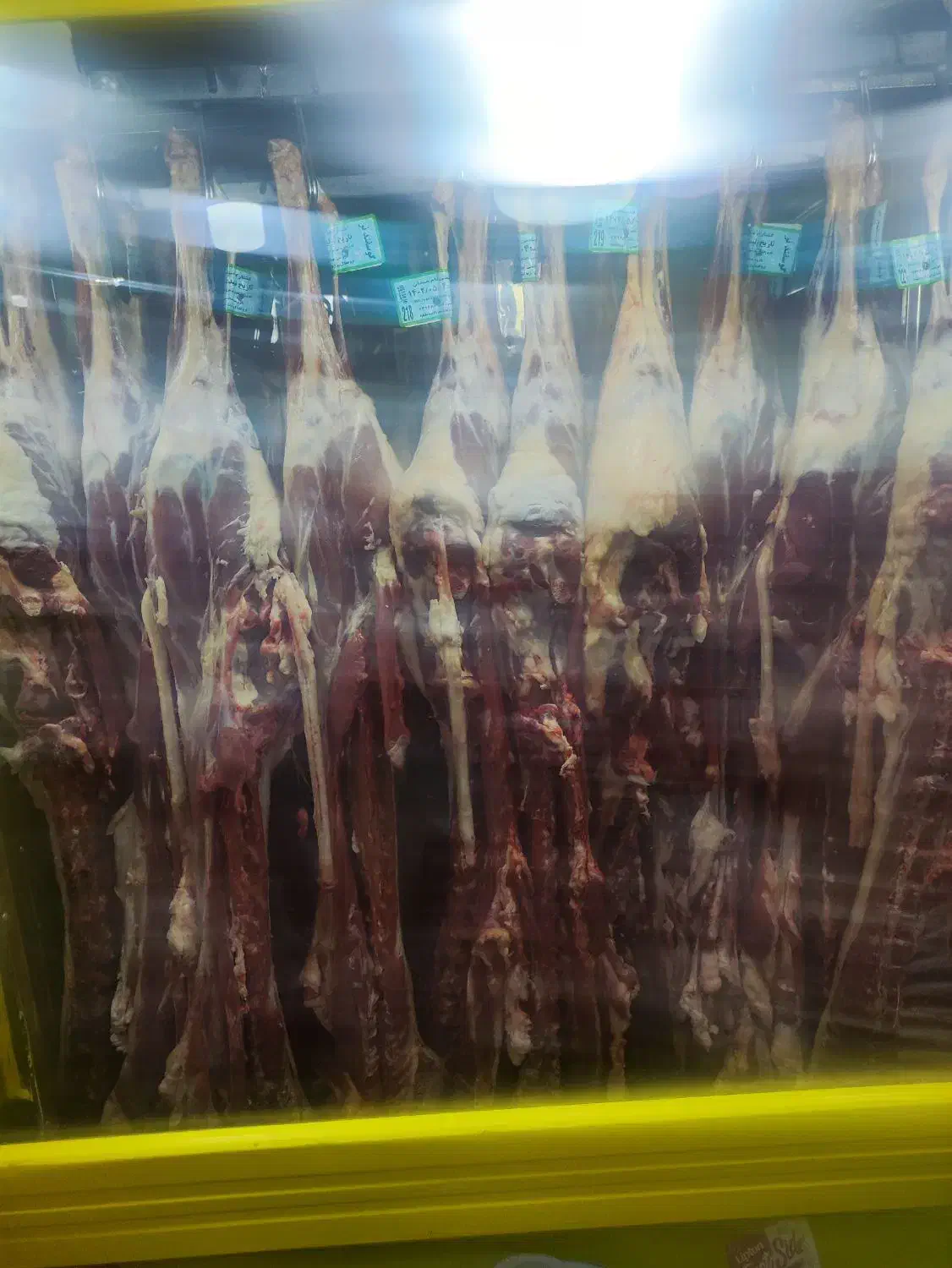 گوشت گرم گوساله گوسفندی|عمده‌فروشی|بهار, |دیوار