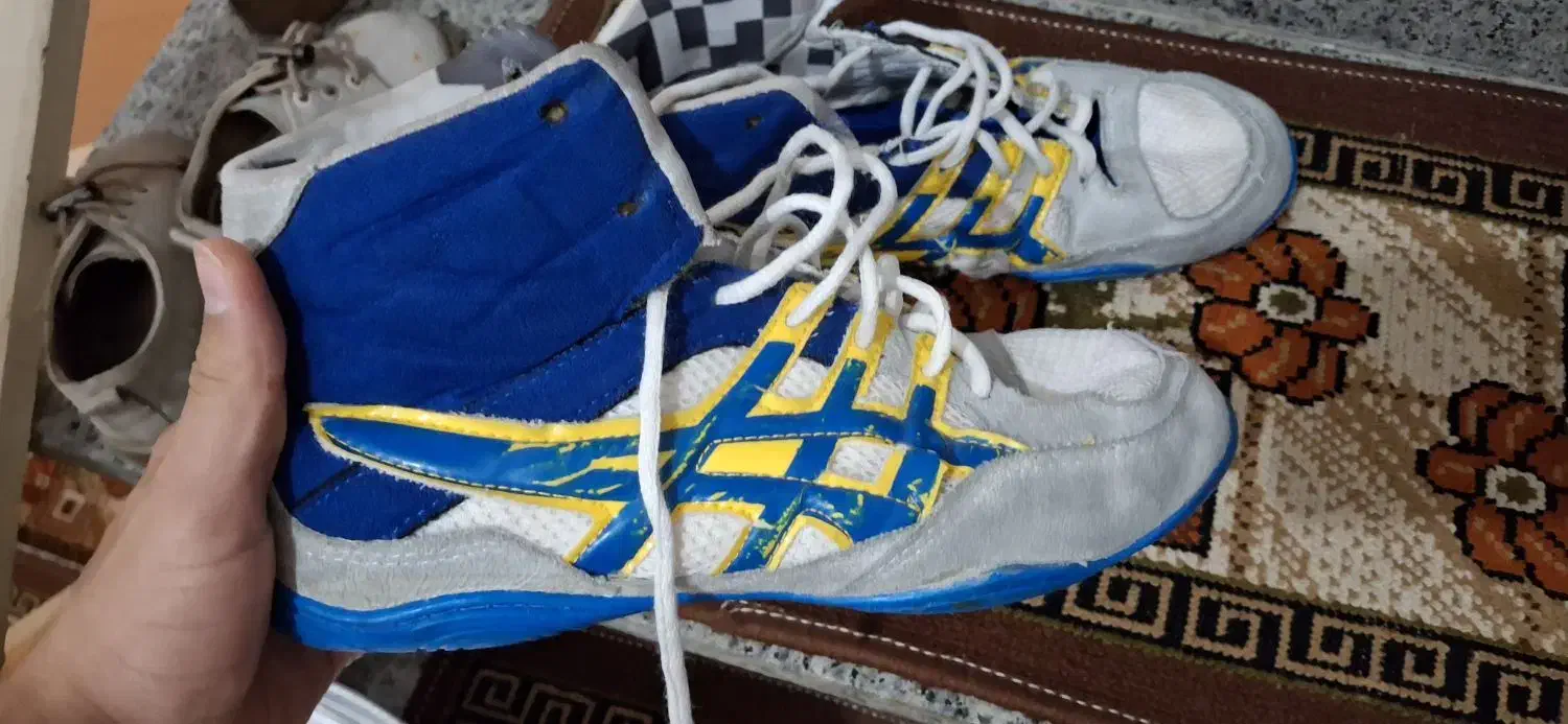 کفش کشتی|کیف، کفش، کمربند|قروه, |دیوار