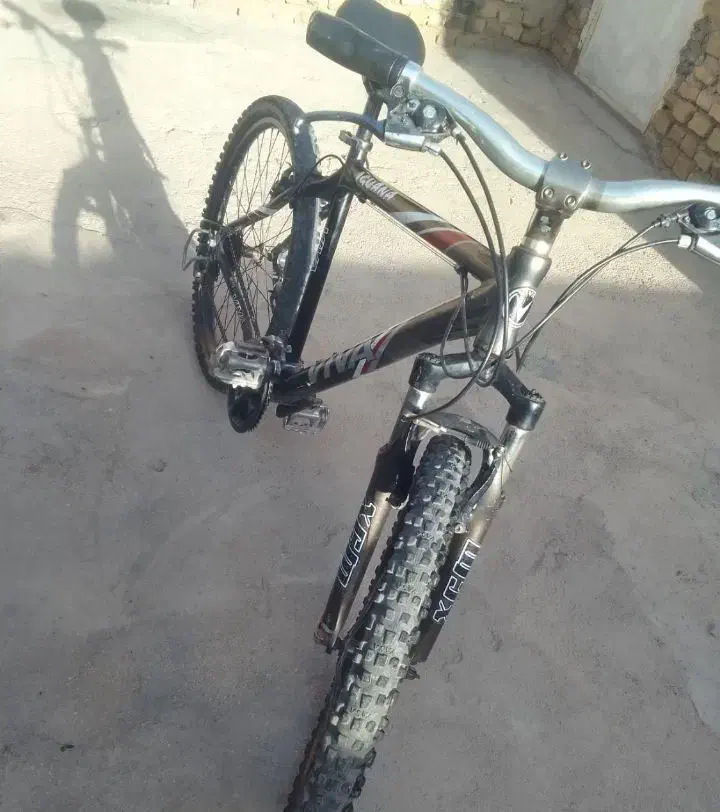 دوتا ویوا و اساک|دوچرخه، اسکیت، اسکوتر|بجنورد, |دیوار