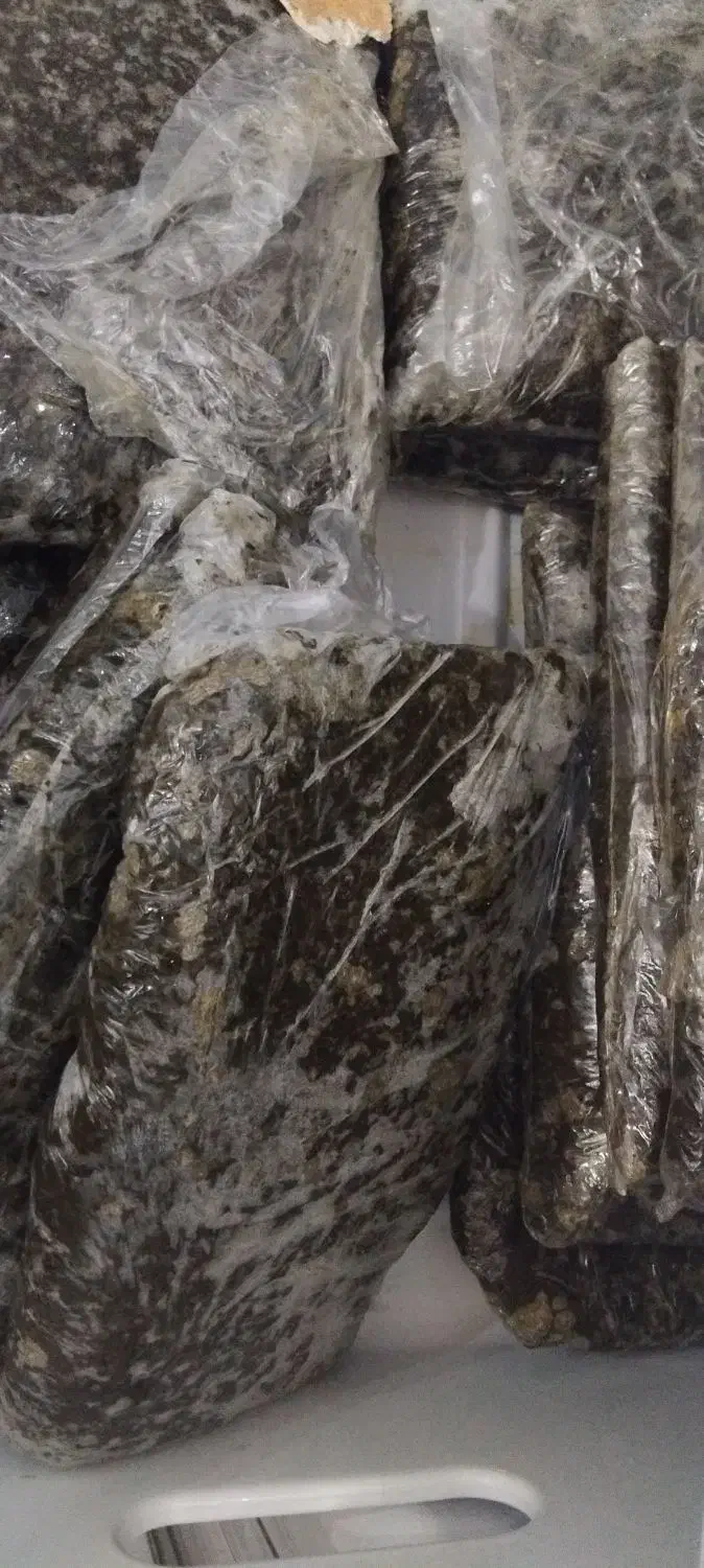 سبزی خورشتی|خوردنی و آشامیدنی|اندیمشک, |دیوار