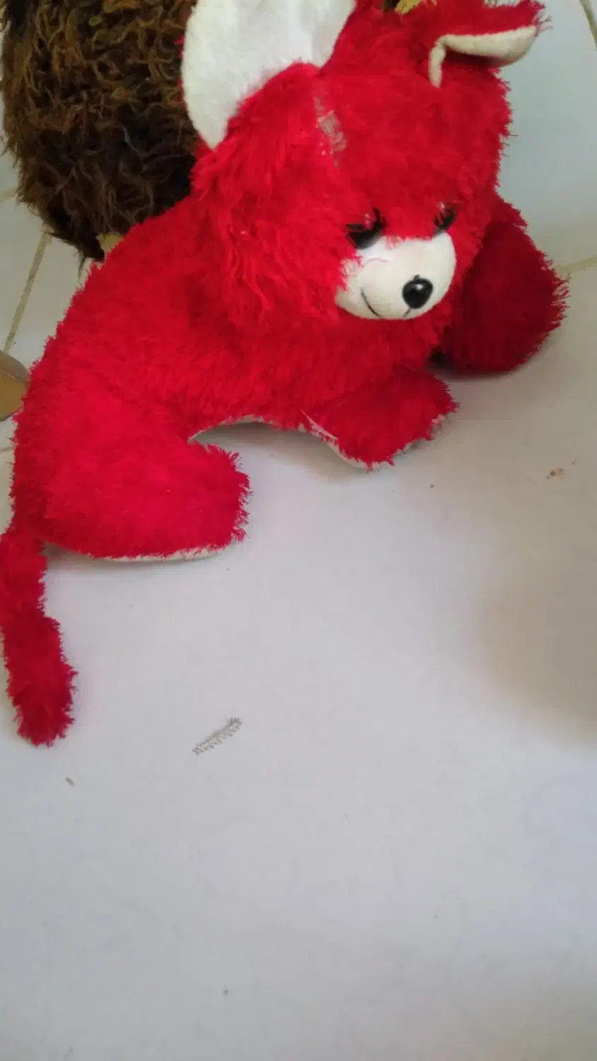 عروسک|اسباب‌بازی بچه|ایلام, |دیوار