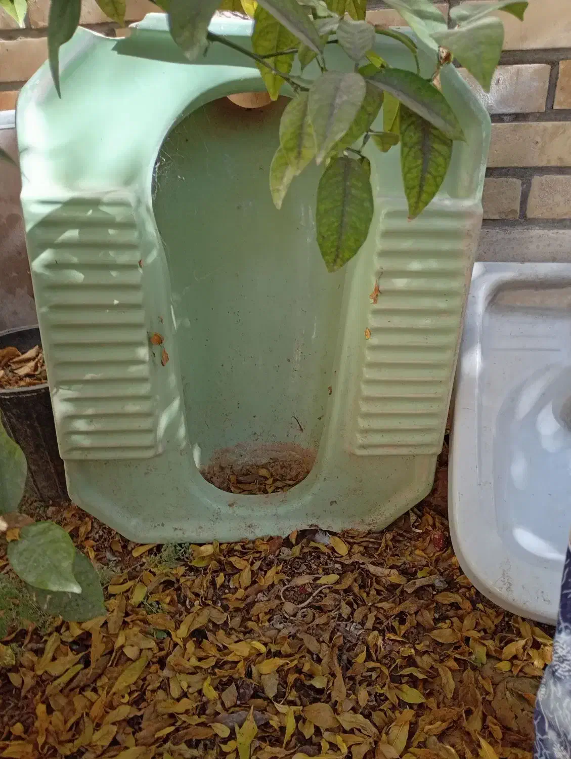 روشوئی وسنگ توالت دست دوم|لوازم سرویس بهداشتی|جهرم, |دیوار