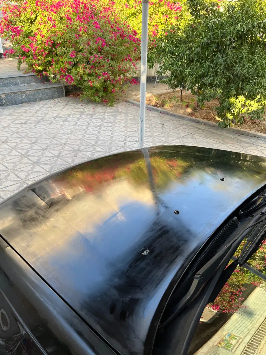 فروش دوو سیلو مدل ۸۲|خودرو سواری و وانت|شیراز, وصال|دیوار