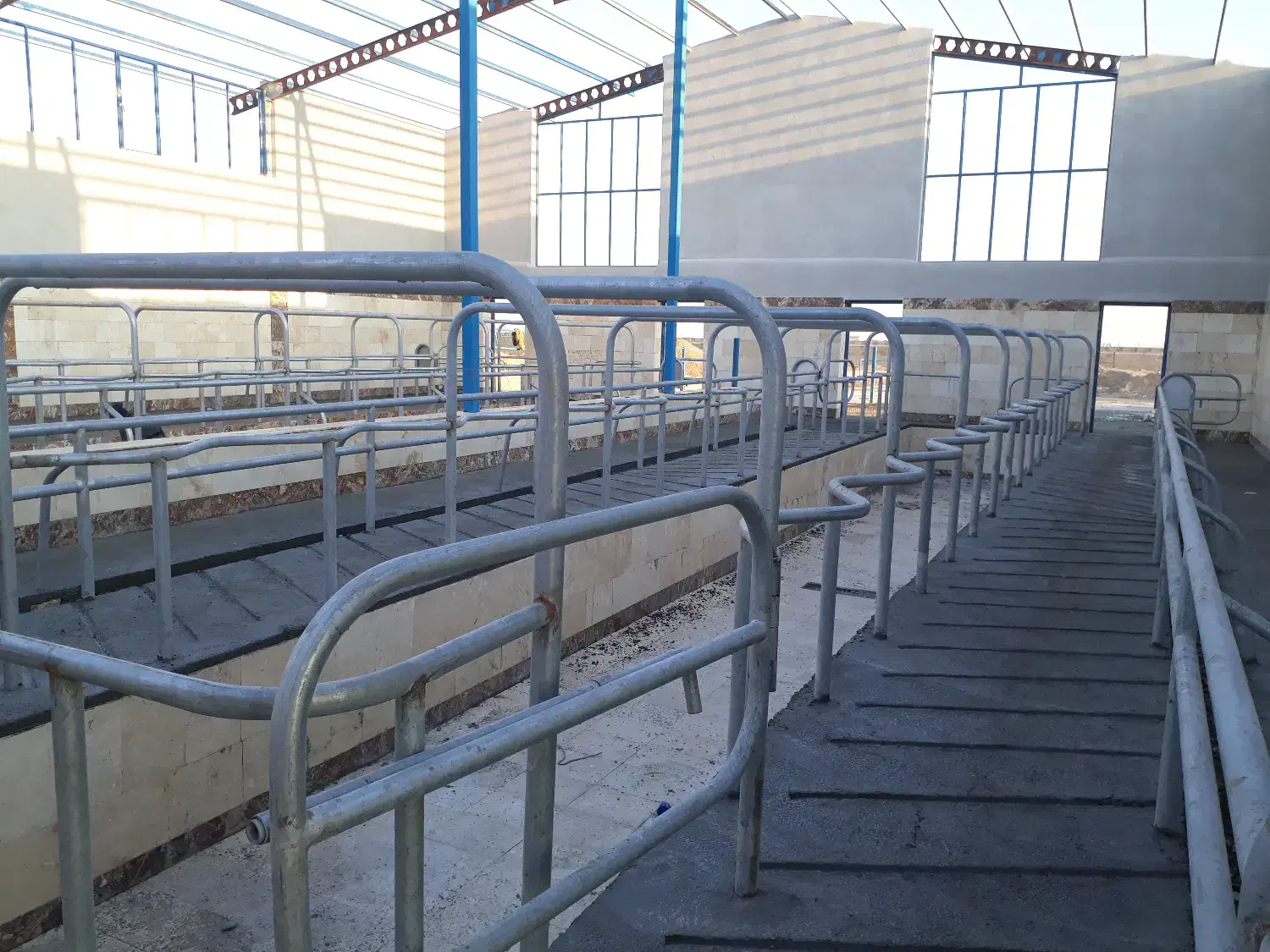 فریم شیردوشی گاو|لوازم جانبی حیوانات|گیلان غرب, |دیوار