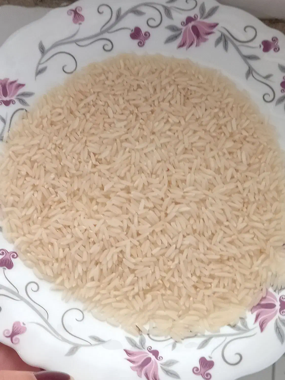 برنج هاشمی درجه1|خوردنی و آشامیدنی|شفت, |دیوار