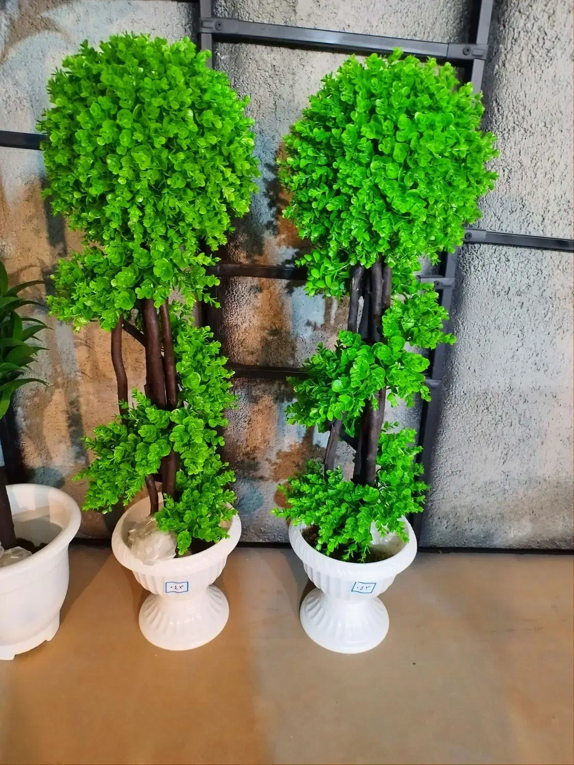 درختچه کد ۰۴۳|گل مصنوعی|فردیس, فردیس|دیوار