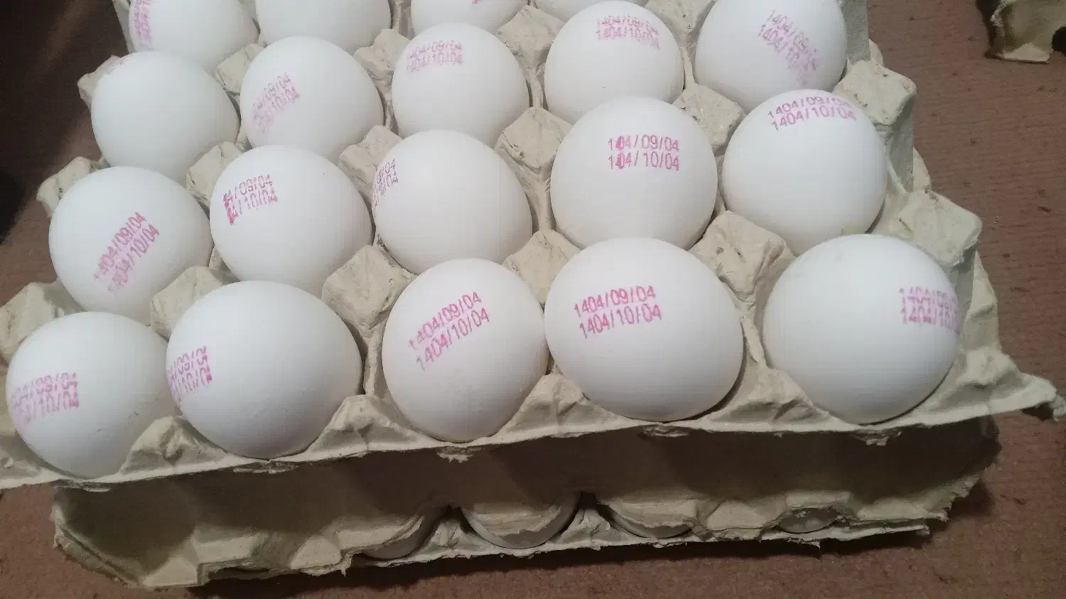 3 شانه تخم مرغ 580 هزار تومان|عمدهفروشی|کرمانشاه, |دیوار