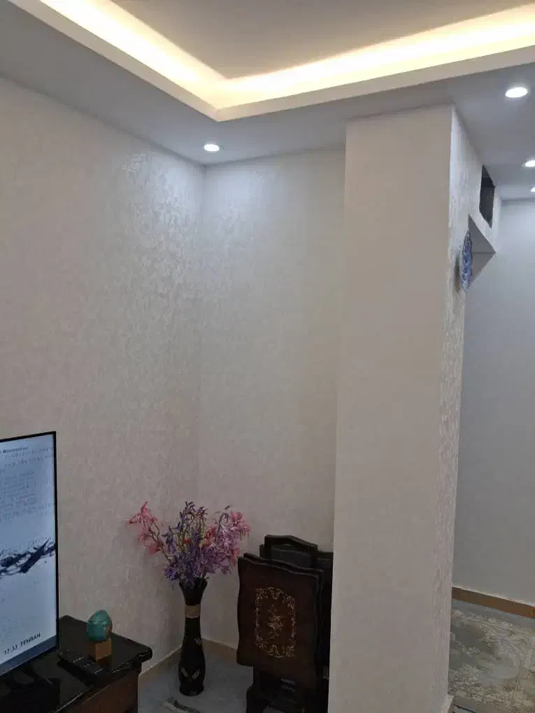 نصب کاغذ دیواری|خدمات پیشه و مهارت|باغستان, |دیوار