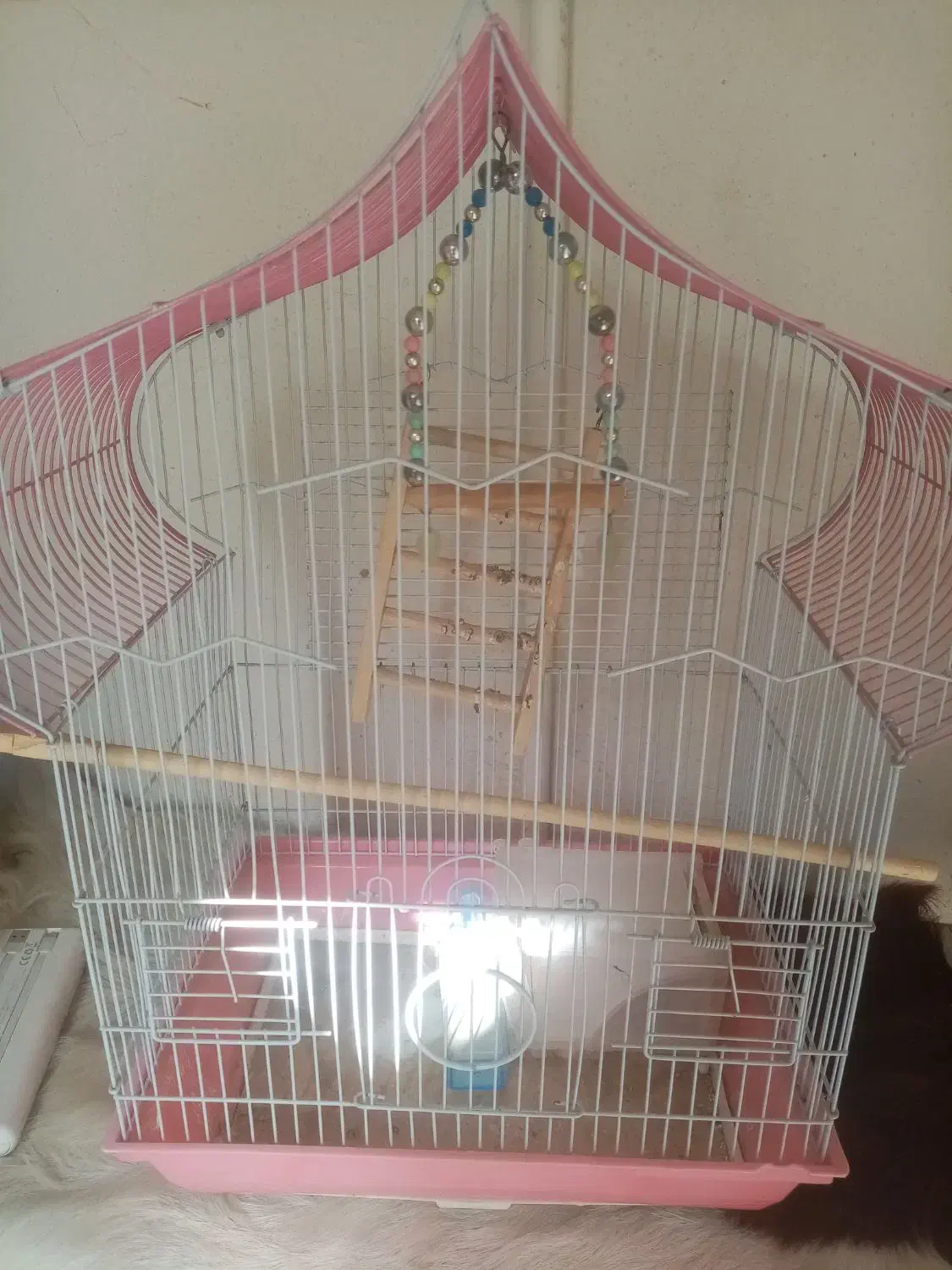 قفس بزرگ طوطی عروس|لوازم جانبی حیوانات|هشتگرد, هشتگرد قدیم|دیوار