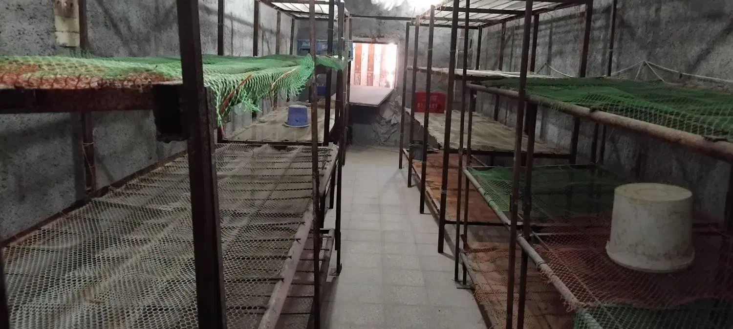 قارچ|ماشین‌آلات صنعتی|تربت‌حیدریه, حاجی یار‎|دیوار