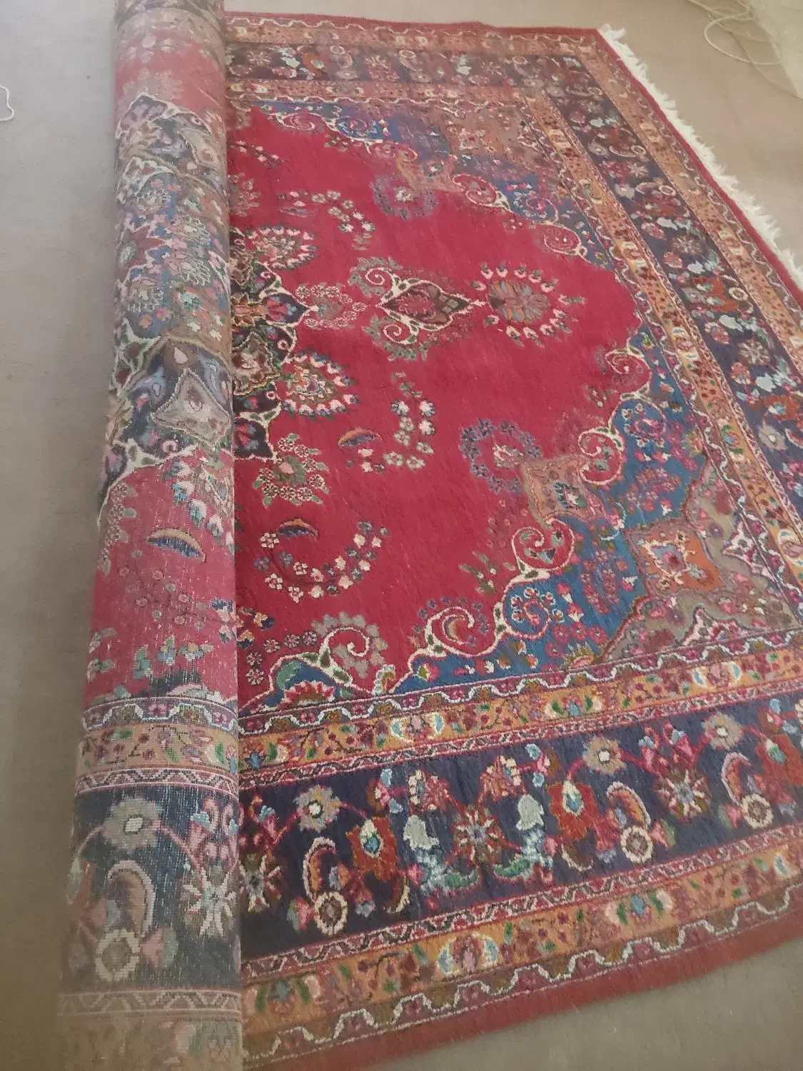 فرش دستباف سالم|فرش|ورامین, ورامین|دیوار