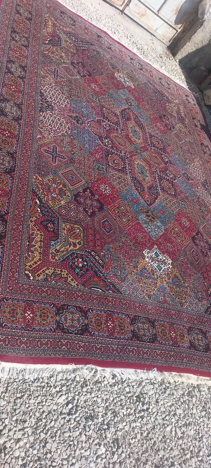 فرش ۱۲متری و ۶متری کار کرده|فرش|کوه چنار, |دیوار