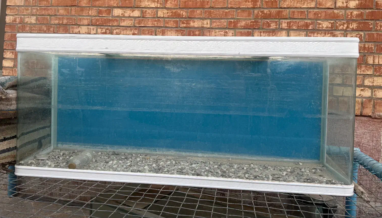 آکواریوم|ماهی|اهواز, کوی قائم|دیوار