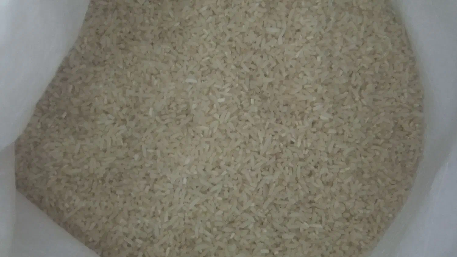 برنج ایرانی|خوردنی و آشامیدنی|بردسکن, |دیوار