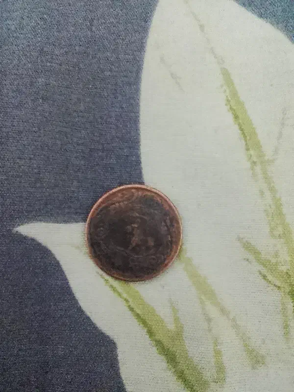 سکه شیر|کلکسیون سکه، تمبر، اسکناس|چالدران, |دیوار