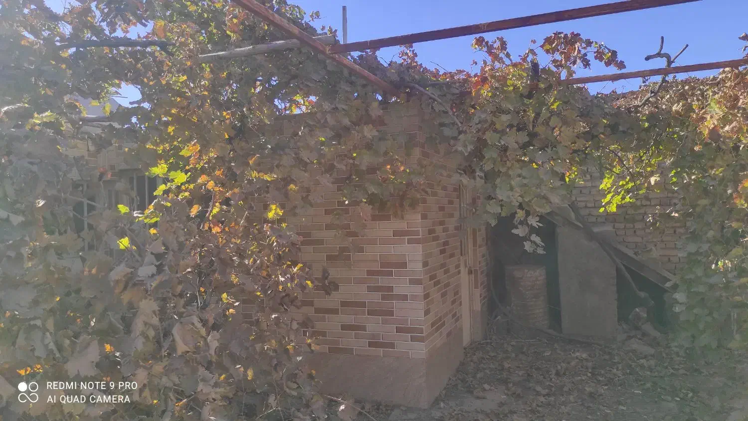 زمین دور دیوار 920متری / باغرود|فروش خانه و ویلا|نیشابور, فضل|دیوار