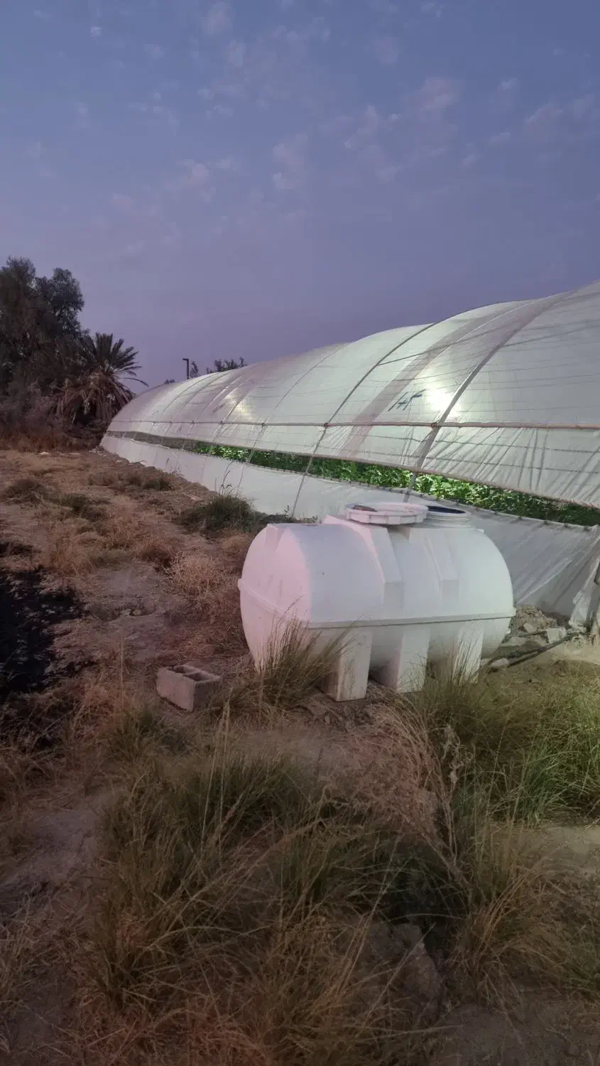 فروش گلخانه|خدمات باغبانی و درختکاری|زهک, |دیوار