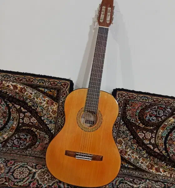 گیتار|گیتار، بیس، امپلیفایر|بوکان, |دیوار