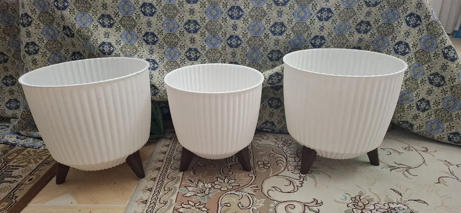 تعدادی گلدان|گل و گیاه طبیعی|کلاچای, |دیوار