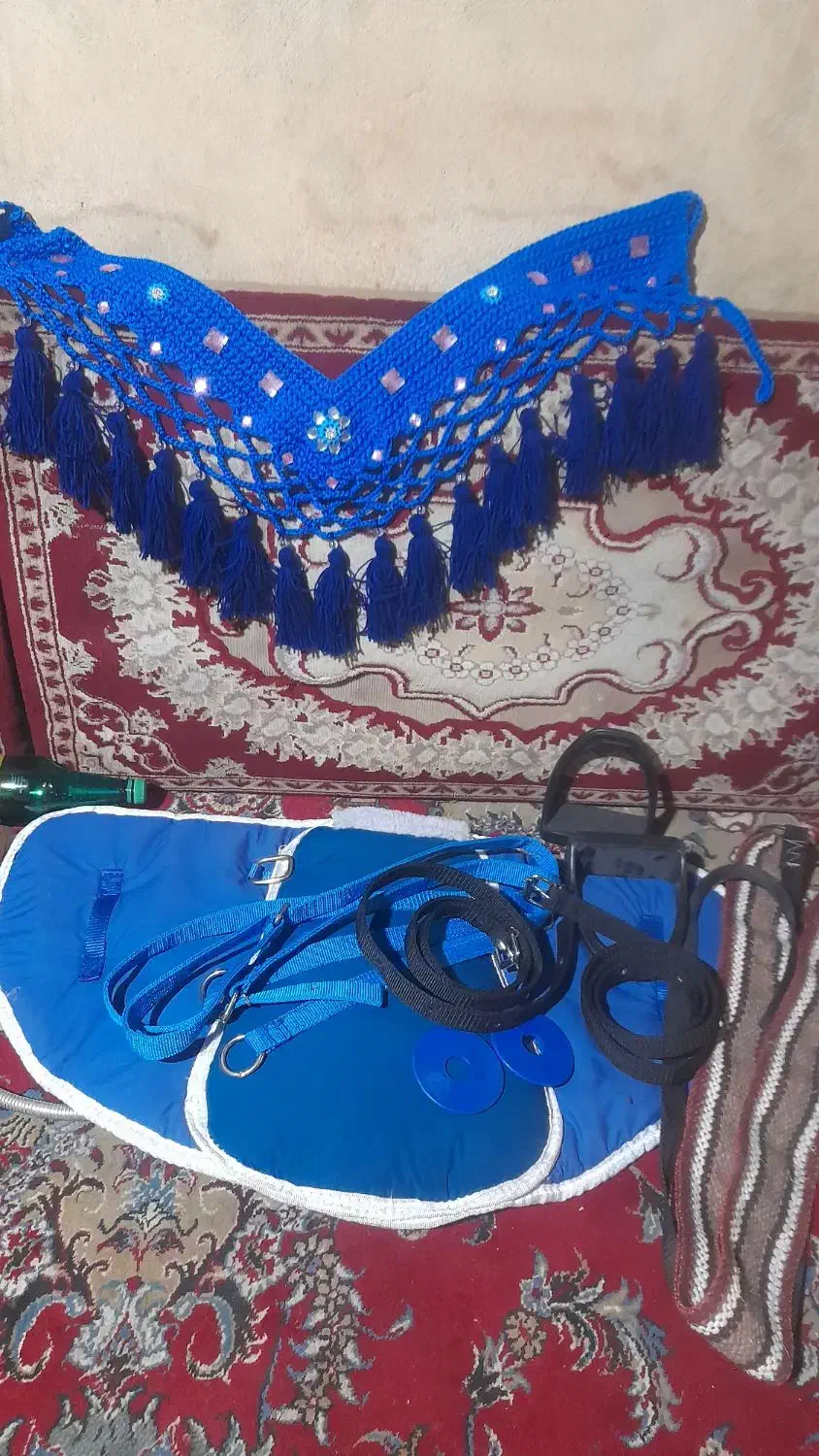 زین و لوازم دیگر|اسب و تجهیزات اسبسواری|کرج, بیسیم|دیوار