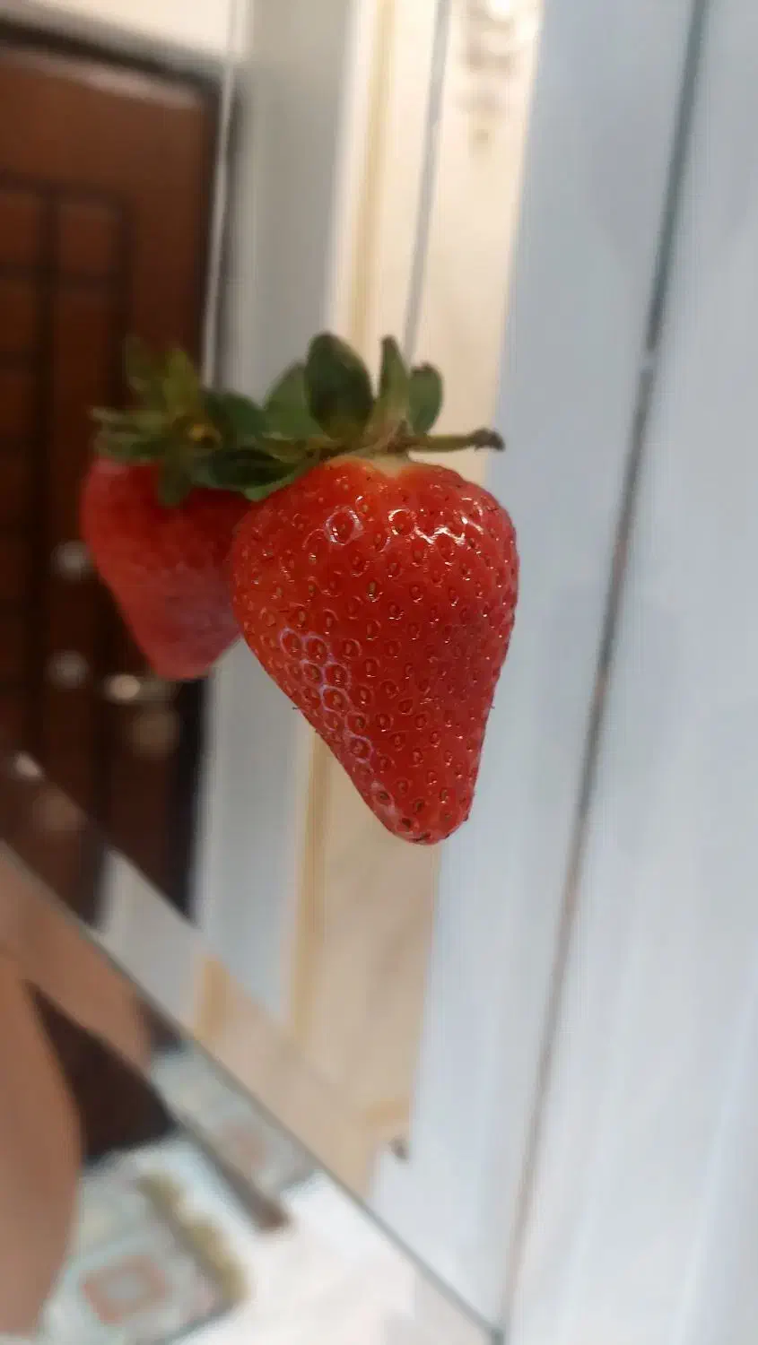 آبرسانی عمیق پوست|خدمات آرایشگری و زیبایی|برخوار, |دیوار