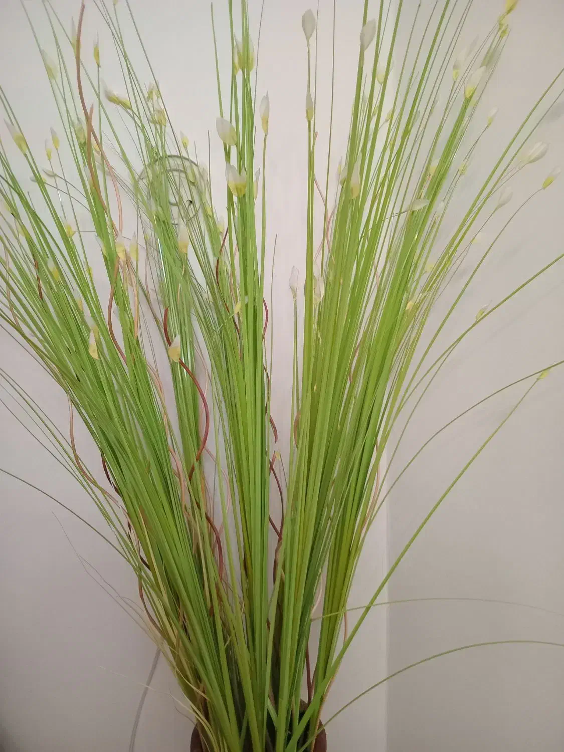 گل و گلدان فروشی|گل مصنوعی|کرج, شهرک رازی (حصارک)|دیوار