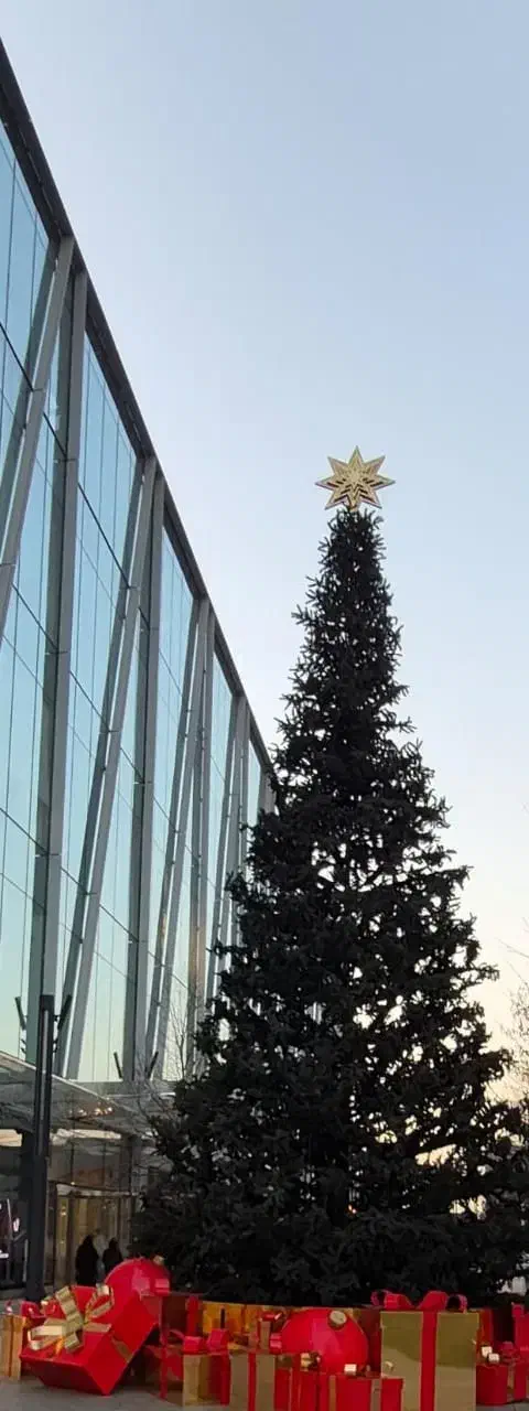 سیم کارت رند|سیم‌کارت|بابل, |دیوار