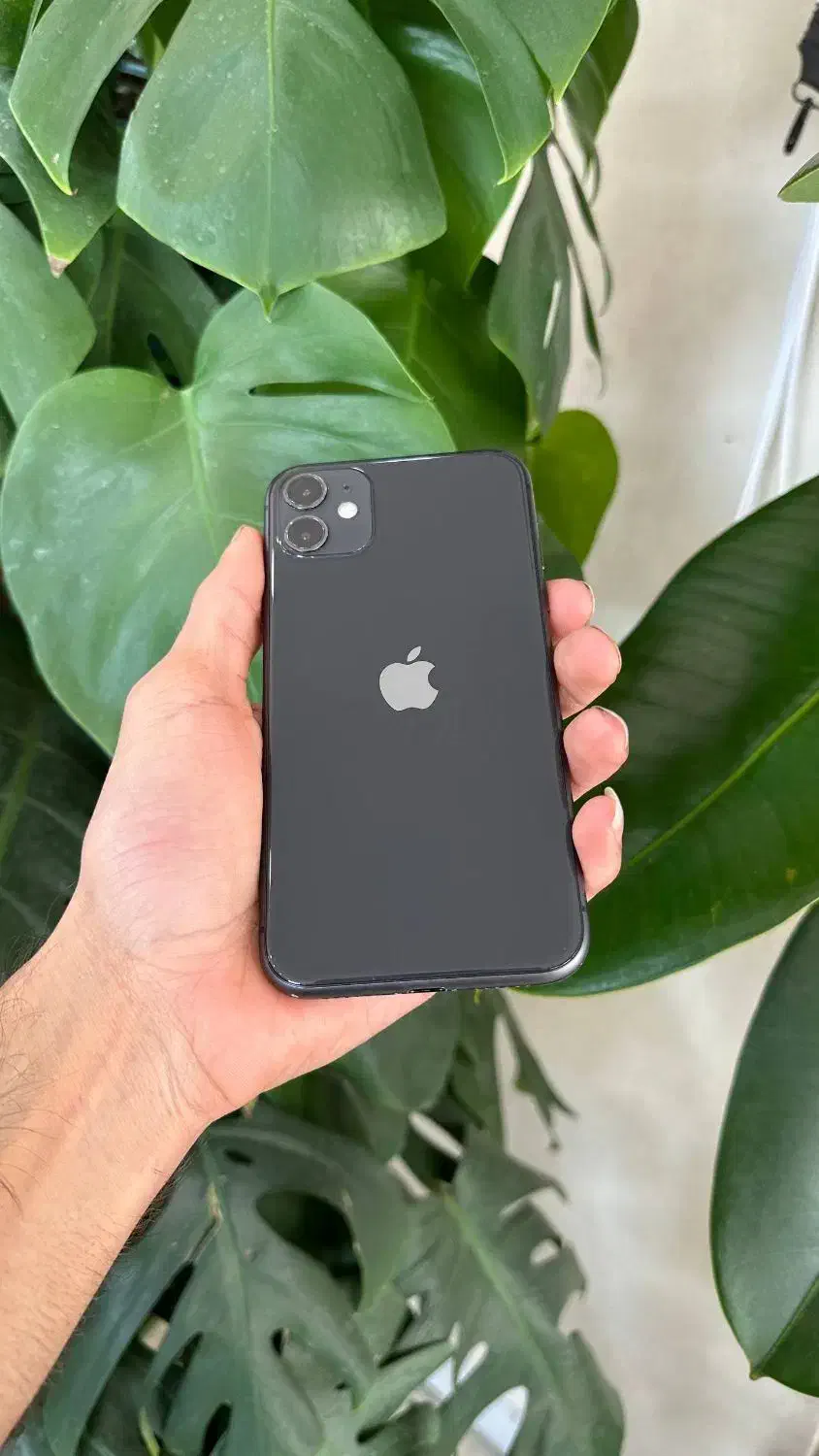 iphone 11 normal|موبایل|سمنان, |دیوار