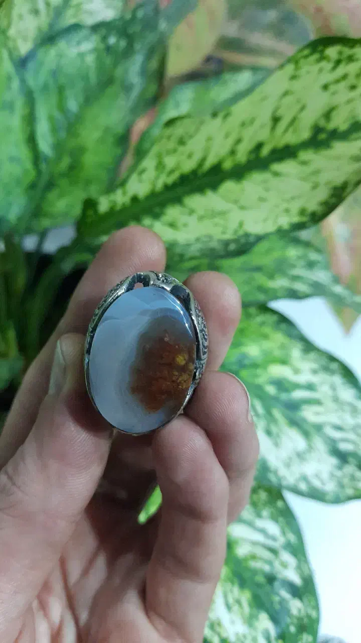 انگشتر شجر زیبای گل اناری|کلکسیون اشیاء عتیقه|رشت, عینک|دیوار