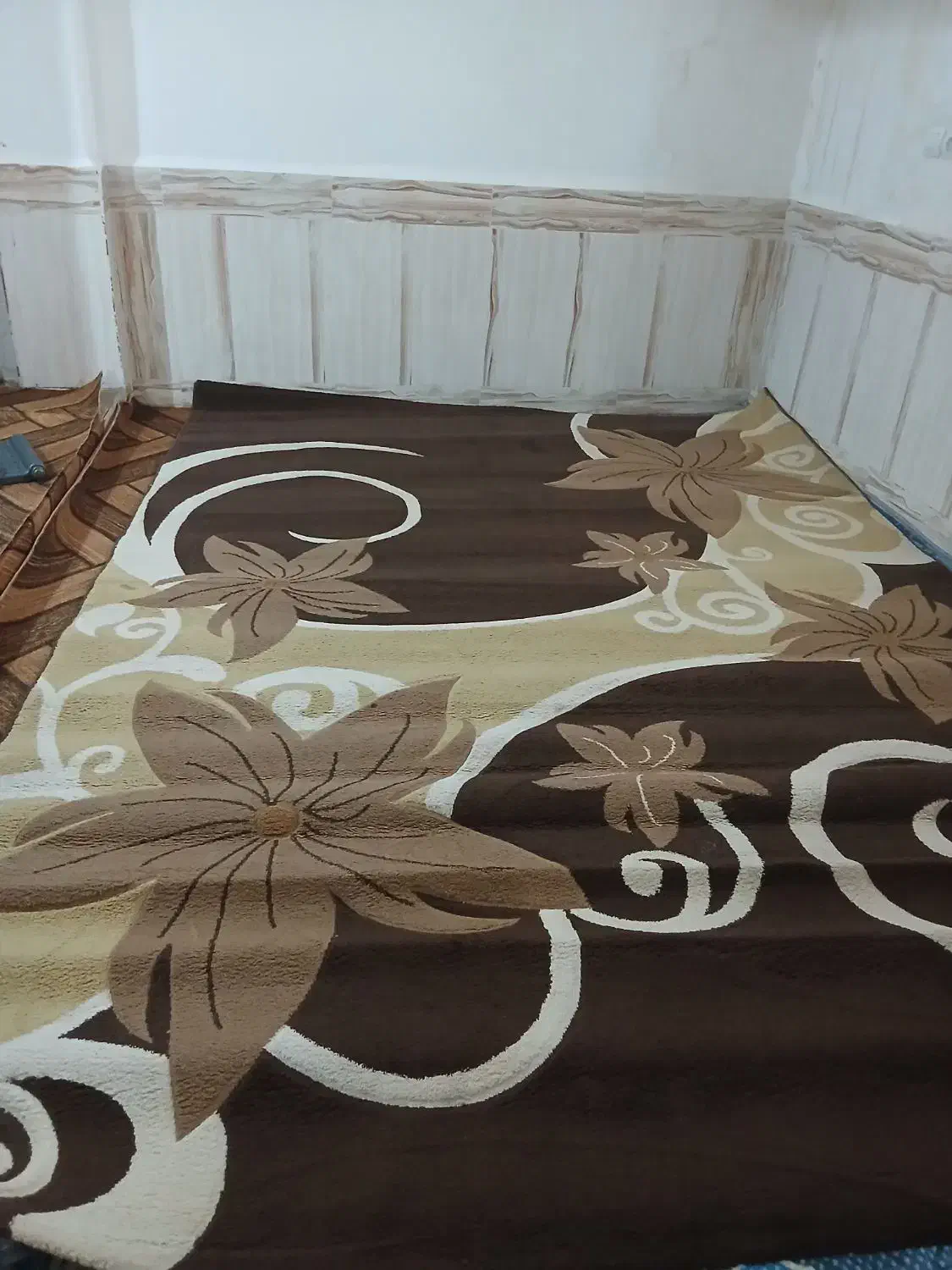 دوعددگلیم فرش|فرش|ایذه, |دیوار