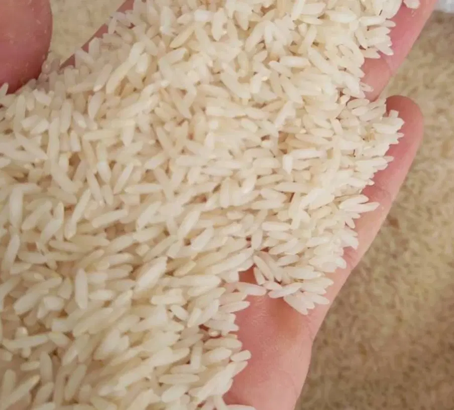 فروش برنج طارم هاشمی ارسال از شمال به سراسر کشور|خوردنی و آشامیدنی|تهران, تجریش|دیوار