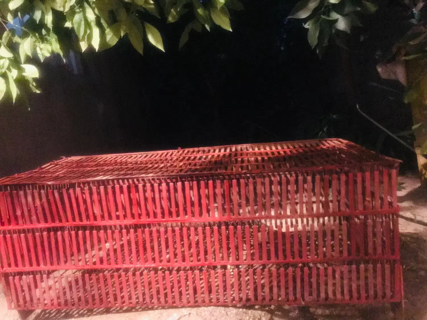 قفس|عمدهفروشی|نورآباد ممسنی, |دیوار