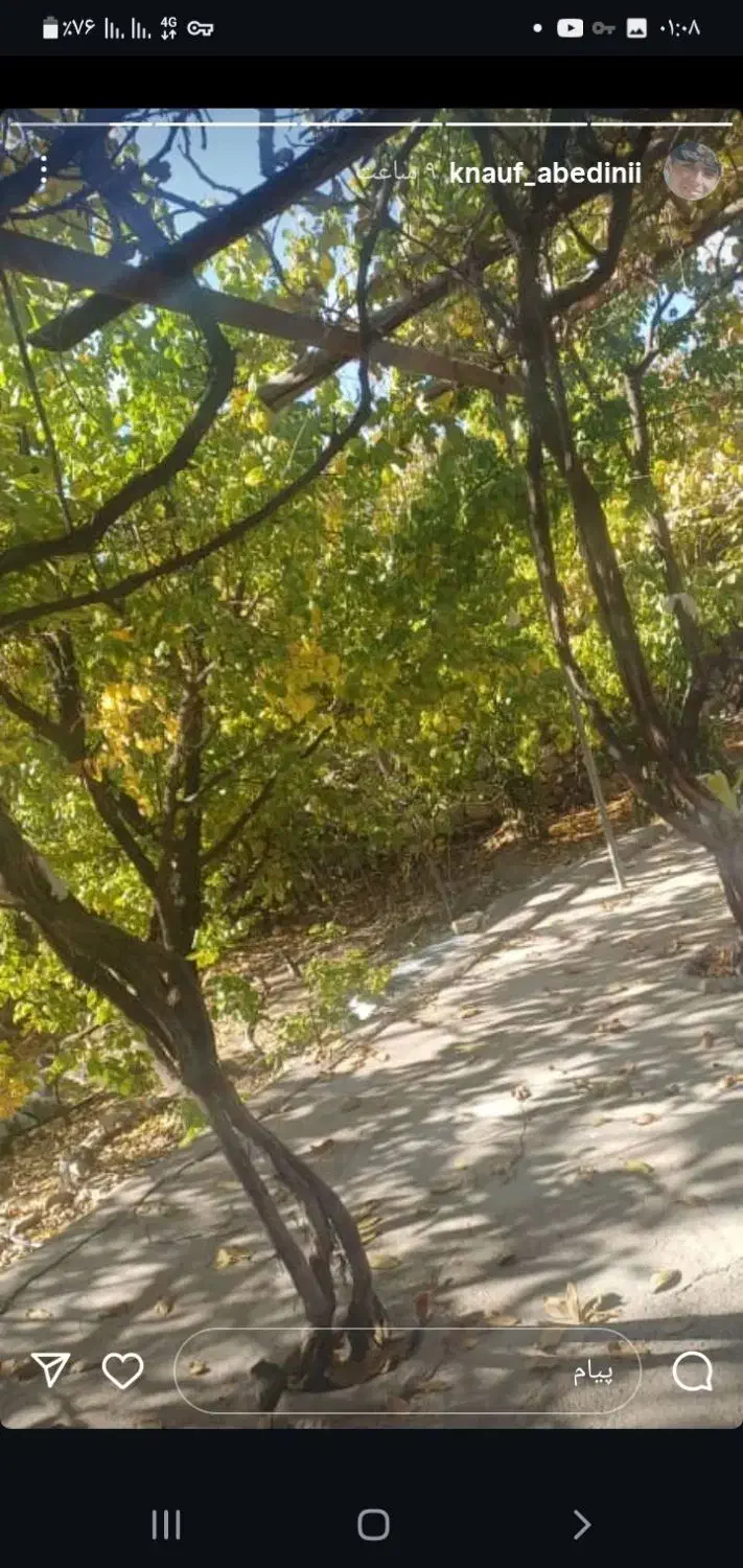 خانه باغ دلفارد|فروش خانه و ویلا|درب بهشت, |دیوار