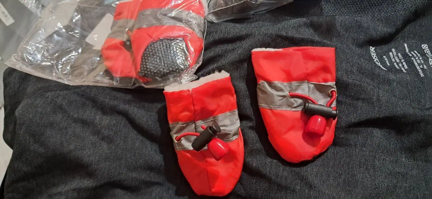 Pet shoes (کفش Pet)|لوازم جانبی حیوانات|تهران, جوانمردان (اندیشه)|دیوار