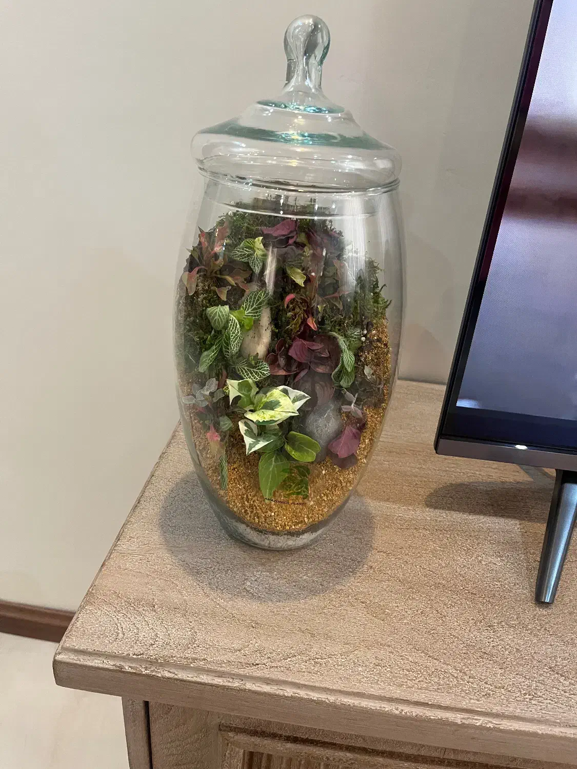 گل و گلدان شیشه ای نو|گل و گیاه طبیعی|تهران, باغ فیض|دیوار