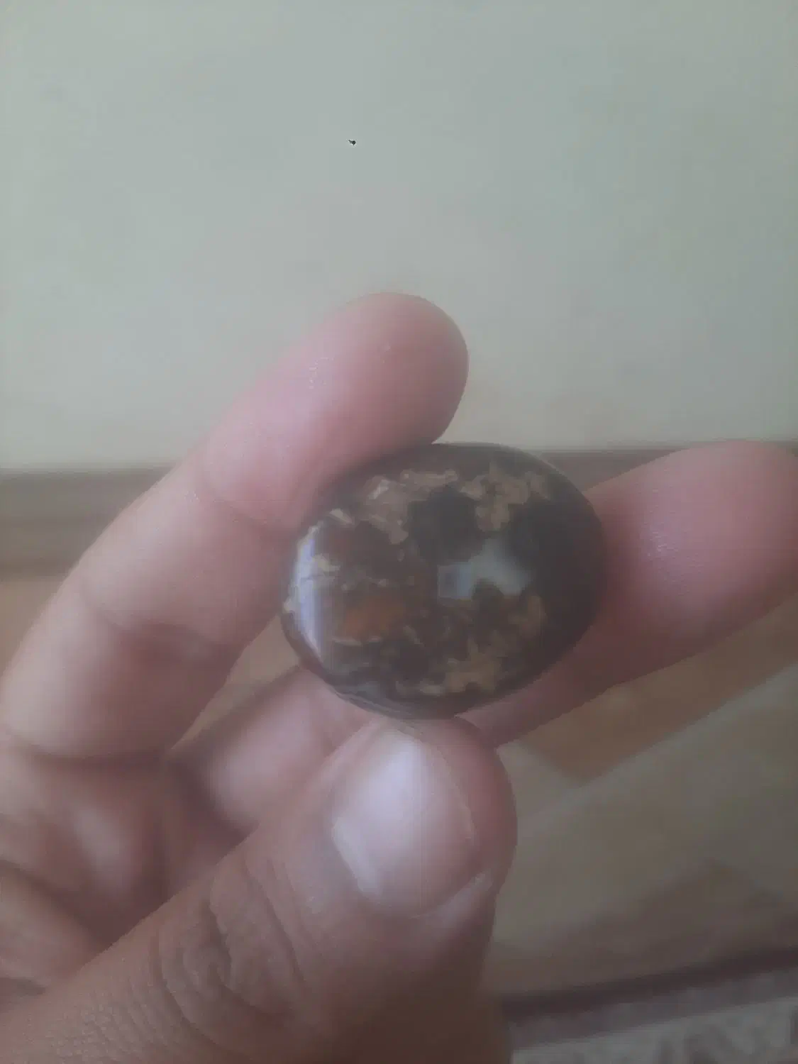 مهره کمیاب|کلکسیون اشیاء عتیقه|حمیدیه, |دیوار