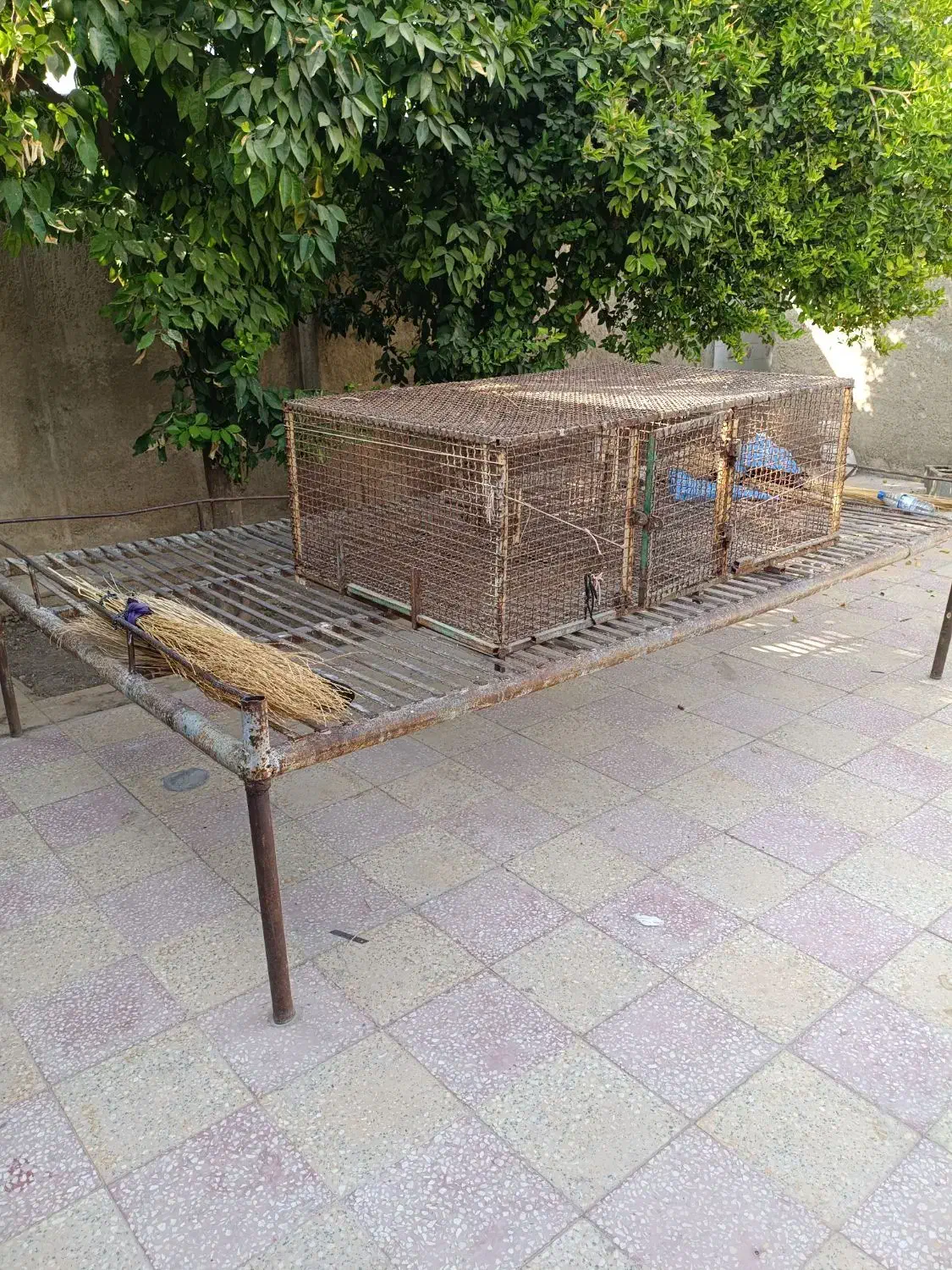 فروش تخت و قفسه|تخت و سرویس خواب|دهدشت, |دیوار