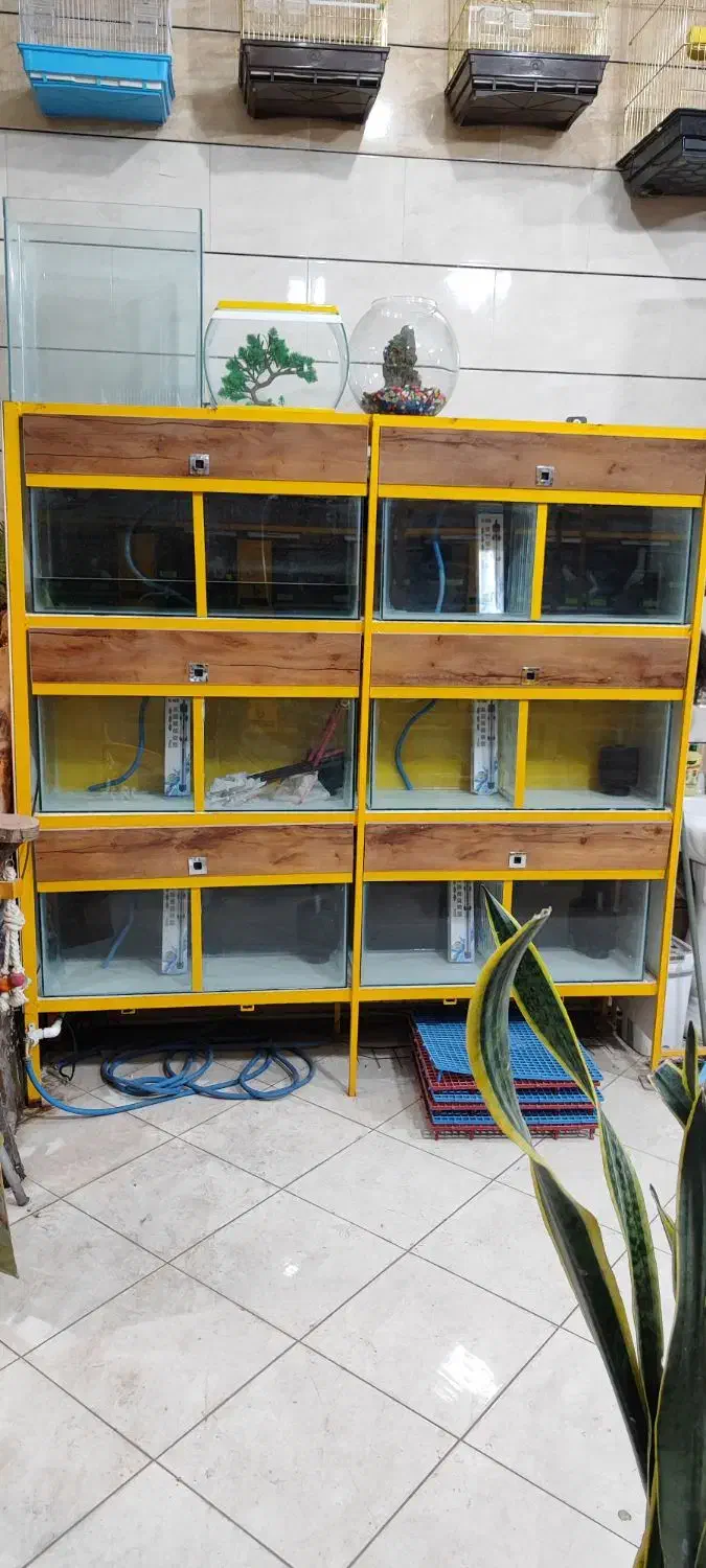 ۹عدد آکواریوم ۶میل|ماهی|گناباد, |دیوار