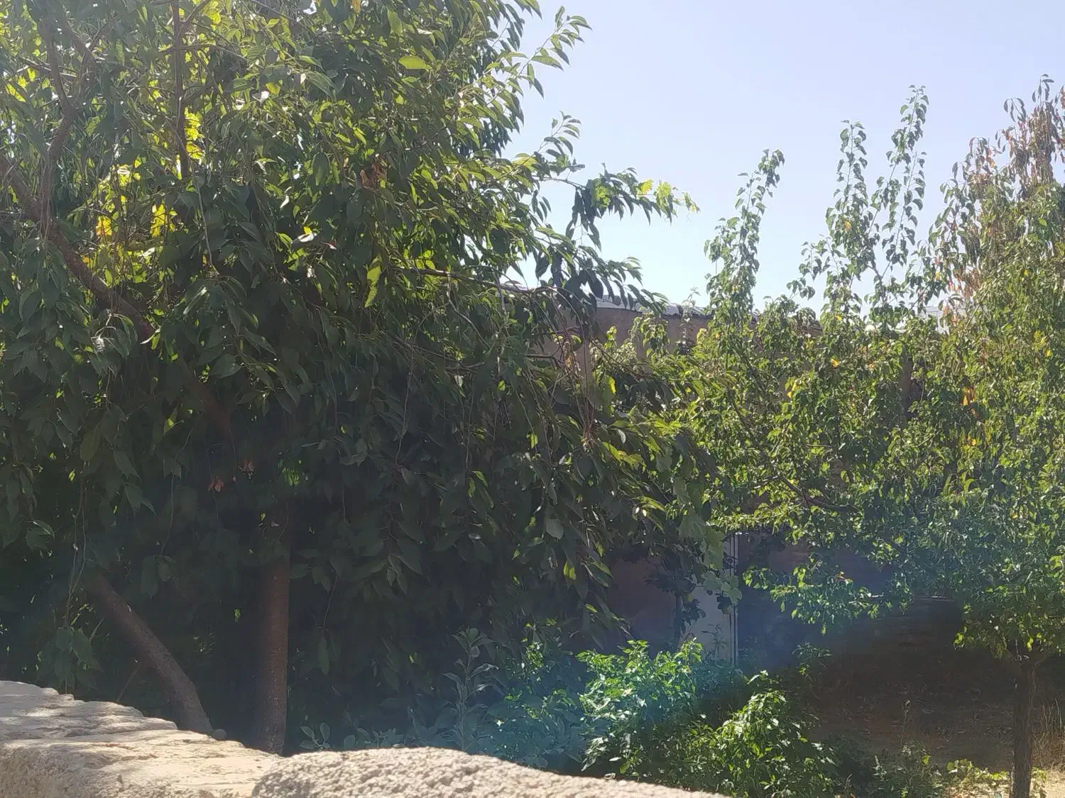 خانه مسکونی در خیرآباد زنجان|فروش خانه و ویلا|باغ حلی, |دیوار